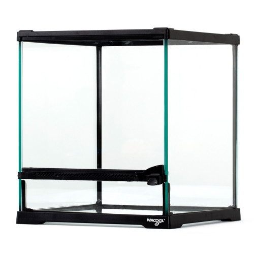 Repti-Zoo Terrarium HK18 21x21x20cm - Idealne dla małych gadów