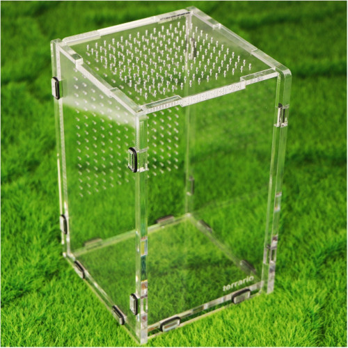 Terrarium akrylowe Terrario Mantis Area L dla modliszek i owadów