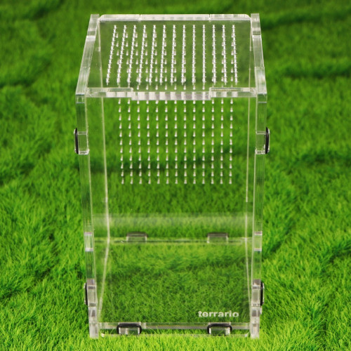 Terrarium akrylowe Terrario Mantis Area L dla modliszek i owadów