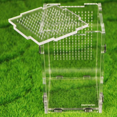 Terrarium akrylowe Terrario Mantis Area L dla modliszek i owadów