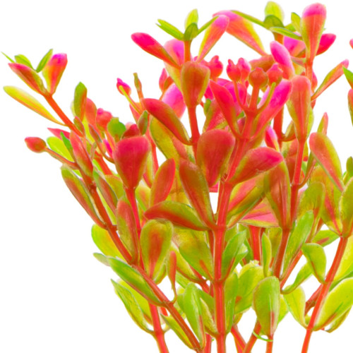 Kruger Meier Plant Fluo Pink - roślinka sztuczna | Ożywia akwarium, bezpieczna dla ryb