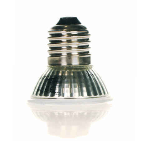Repti-Zoo Mini LED 5W - Idealne do małych terrariów