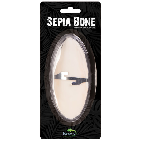 Terrario Sepia Bone - sepia 24 sztuki | Naturalne źródło wapnia dla gadów