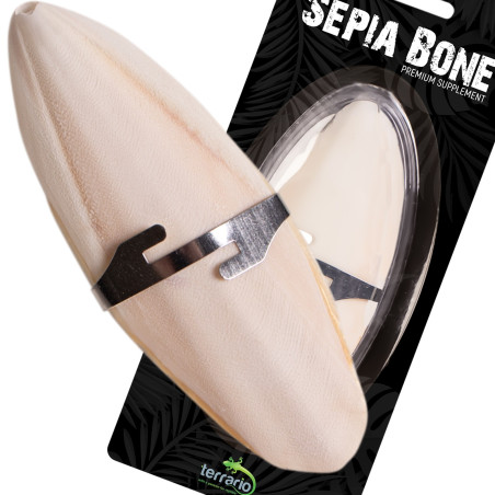 Terrario Sepia Bone - sepia 24 sztuki | Naturalne źródło wapnia dla gadów