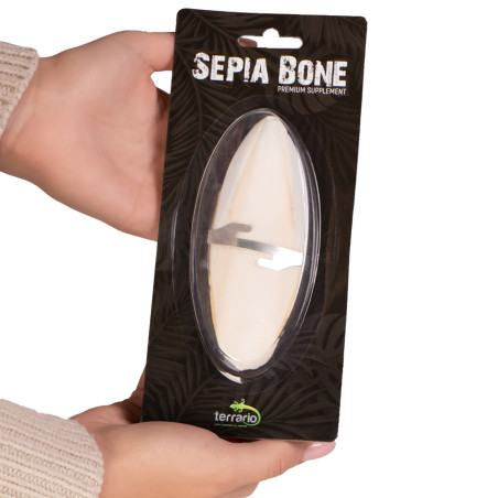 Terrario Sepia Bone - sepia 24 sztuki | Naturalne źródło wapnia dla gadów