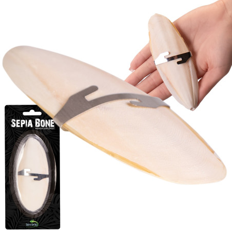 Terrario Sepia Bone - sepia 24 sztuki | Naturalne źródło wapnia dla gadów