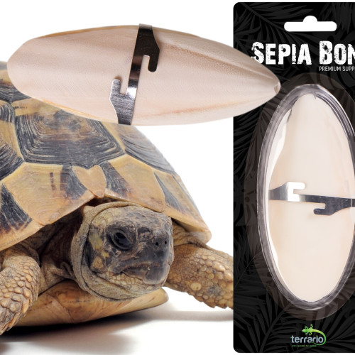 Terrario Sepia Bone - sepia 24 sztuki | Naturalne źródło wapnia dla gadów