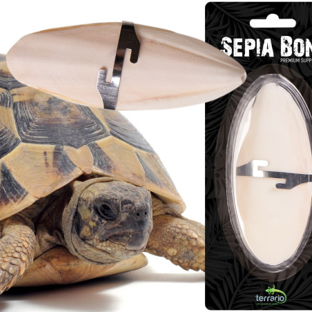 Terrario Sepia Bone - sepia 24 sztuki | Naturalne źródło wapnia dla gadów
