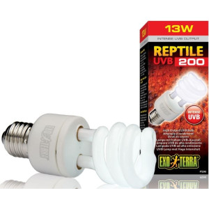 EXO TERRA Intense Żarówka 12.0 UVB 13W