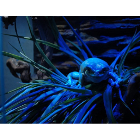 EXO TERRA Night-Heat 25W - Idealna do nocnego ogrzewania terrarium