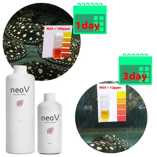 Neo V 1000ml - bakterie + stabilizacja pH + witaminy dla ryb - Szybka poprawa jakości wody