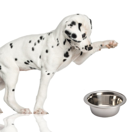 Lupipets Dog Bowl 0,47L | Trwała i łatwa w czyszczeniu
