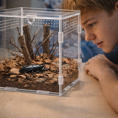 Terrarium akrylowe Terrario MicroAir Hab 15×15×15 cm