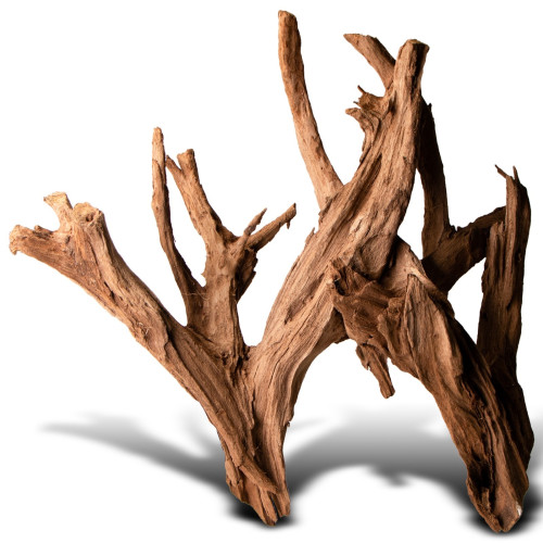 Philippines Classic Driftwood - drzewo mangrowca z wody XL 40cm - 50cm | Idealna do akwarium słodkowodnego