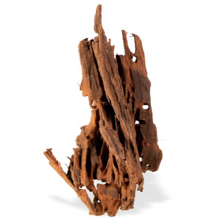 Philippines Classic Driftwood - drzewo mangrowca z wody XL 40cm - 50cm | Idealna do akwarium słodkowodnego