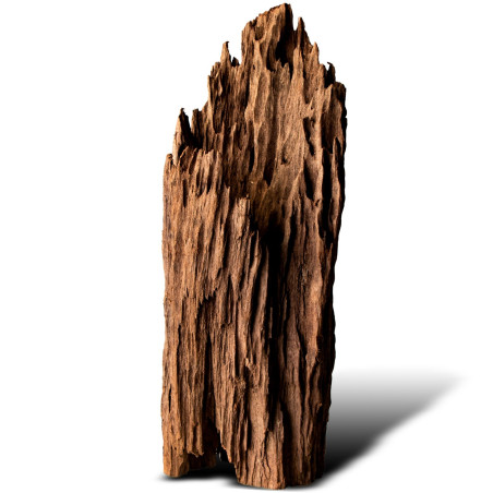 Philippines Classic Driftwood - drzewo mangrowca z wody XL 40cm - 50cm | Idealna do akwarium słodkowodnego