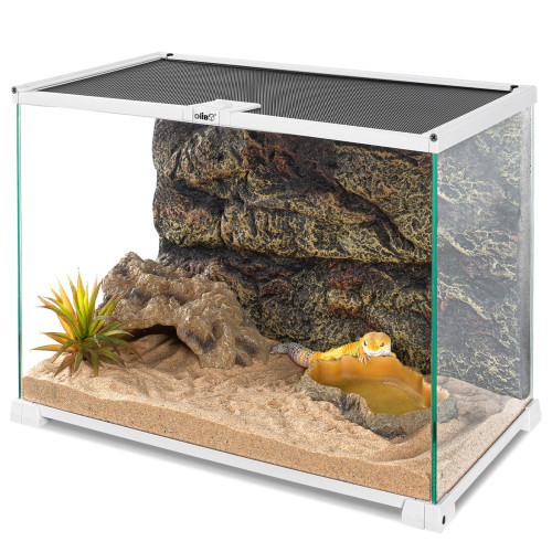 OiiBO Terrarium RAK05W 50x30x35cm - Idealne dla gadów i roślin