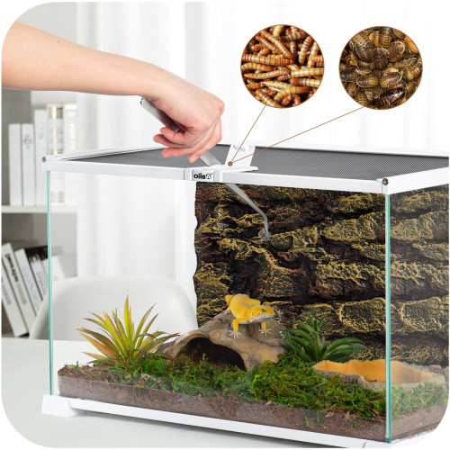 OiiBO Terrarium RAK05W 50x30x35cm - Idealne dla gadów i roślin