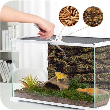 OiiBO Terrarium RAK05W 50x30x35cm - Idealne dla gadów i roślin