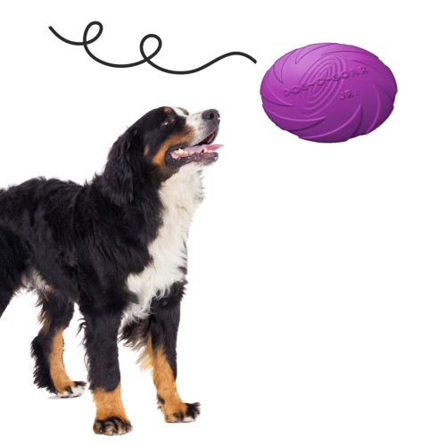 Pet Nova zabawka - dysk gumowy frisbee fioletowy 22cm | Idealna do aportowania