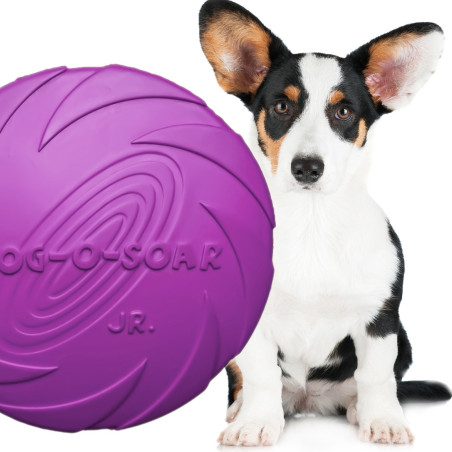 Pet Nova zabawka - dysk gumowy frisbee fioletowy 22cm | Idealna do aportowania