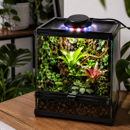 Lampa LED Terrario Nanoray Mini 6W 3w1 - oświetlenie terrarium