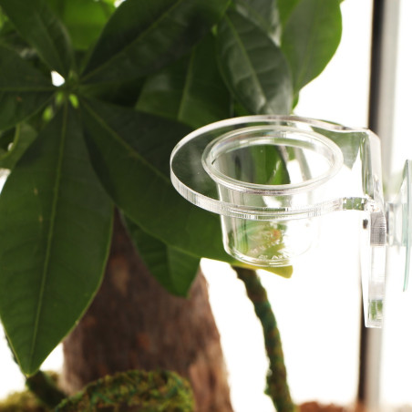 Miseczka Terrario Gecko Bar Dish 30 ml (zapasowa)