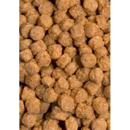 Ocean Nutrition Atison's Betta Food 15g - Intensywne barwy i zdrowie