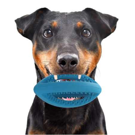 HappyPet Interactive Rugby Ball Mini - Wytrzymała gumowa piłka dla psa idealna do aportu