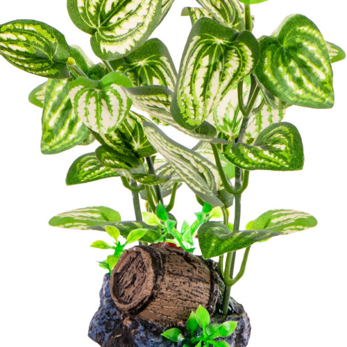 Kruger Meier Plant Barrel & Plants roślinka sztuczna - Idealna do akwarium słodkowodnego