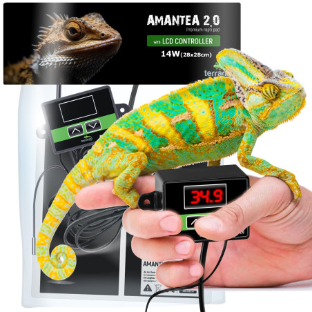 Terrario Amantea 2.0 14W mata grzewcza z termostatem - Stałe bezpieczne ogrzewanie dla gadów