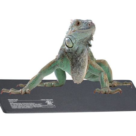 Terrario Repti-Pad PVC 10W - Wodoodporna mata grzewcza idealna do terrarium