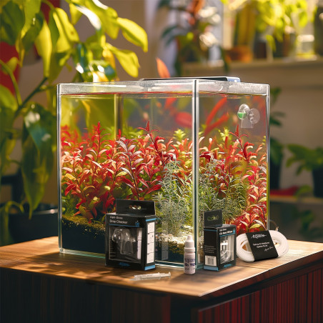 Zestaw CO2 Aquario Professional 2.0 2l - Niezawodny do akwarium roślinnego