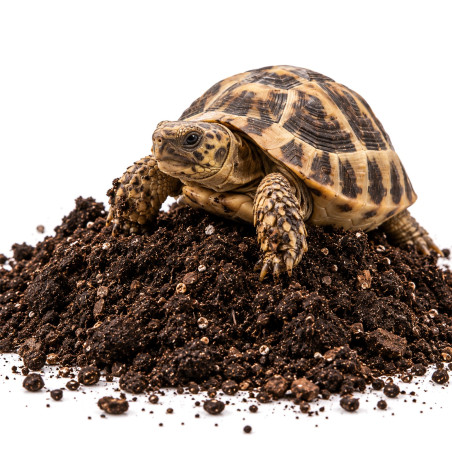 Terrario Supai Oya Soil  - podłoże dla żółwi 18l