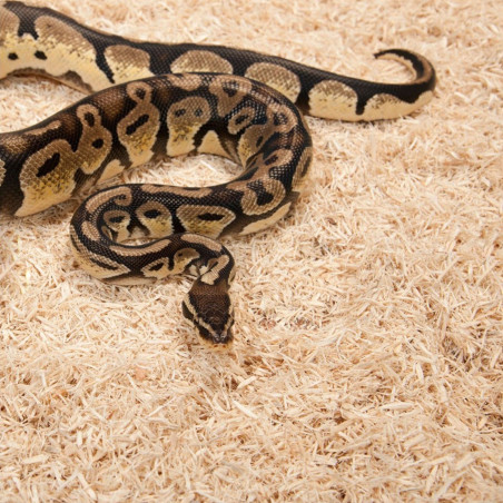 Zoomed Aspen Snake 26l podłoże dla węży - Naturalne i bezpyłowe