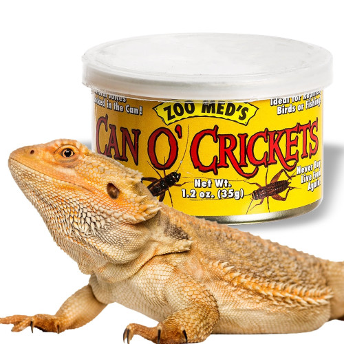 Zoomed Can O' Crickets Medium - Pełnowartościowy pokarm dla gadów