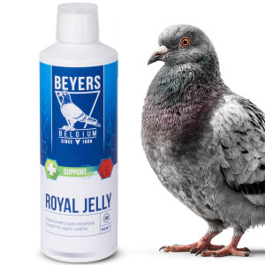 Beyers Royal Jelly 400ml - propolis i żeńszeń
