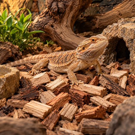 Terrario Hiyare Wilderness 10l - duże zrębki bukowe