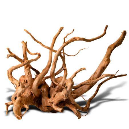 Shizen Essence J-roots M średnie korzenie japońskie Mizube i Ryuboku - Idealne do aquascapingu