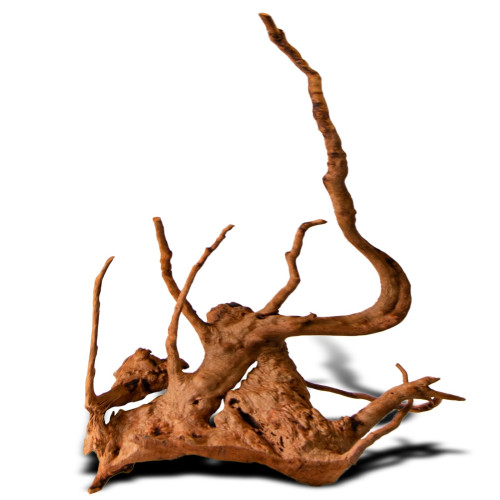 Shizen Essence J-roots M średnie korzenie japońskie Mizube i Ryuboku - Idealne do aquascapingu