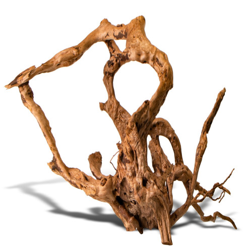 Shizen Essence J-roots M średnie korzenie japońskie Mizube i Ryuboku - Idealne do aquascapingu