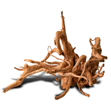 Shizen Essence J-roots M średnie korzenie japońskie Mizube i Ryuboku - Idealne do aquascapingu
