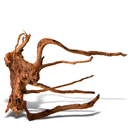 Shizen Essence J-roots M średnie korzenie japońskie Mizube i Ryuboku - Idealne do aquascapingu