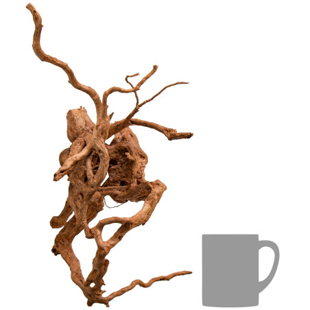 Shizen Essence J-roots M średnie korzenie japońskie Mizube i Ryuboku - Idealne do aquascapingu