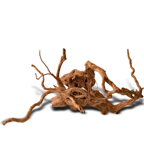 Shizen Essence J-roots M średnie korzenie japońskie Mizube i Ryuboku - Idealne do aquascapingu