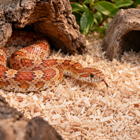 Terrario Krau Wildlife 10l - drobne włókno drewniane