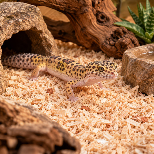 Terrario Krau Wildlife 15l - drobne włókno drewniane