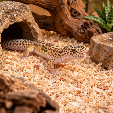 Terrario Krau Wildlife 15l - drobne włókno drewniane