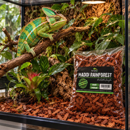 Terrario Madidi Rainforest 10l - drobne zrębki kokosa