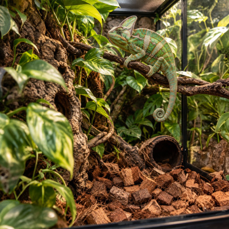 Terrario Negro Rainforest 10l - podłoże zrębki kokosa